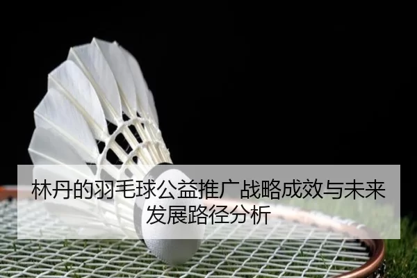 林丹的羽毛球公益推广战略成效与未来发展路径分析