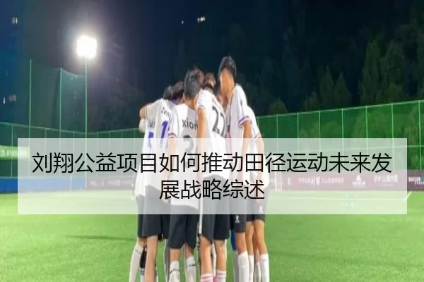刘翔公益项目如何推动田径运动未来发展战略综述