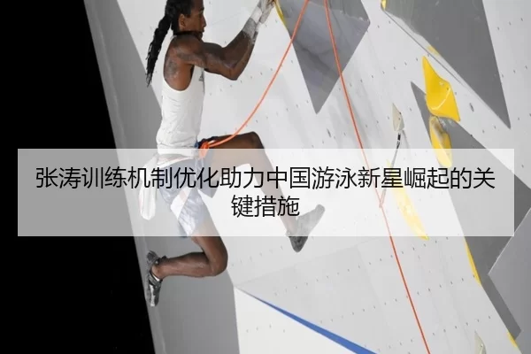 张涛训练机制优化助力中国游泳新星崛起的关键措施